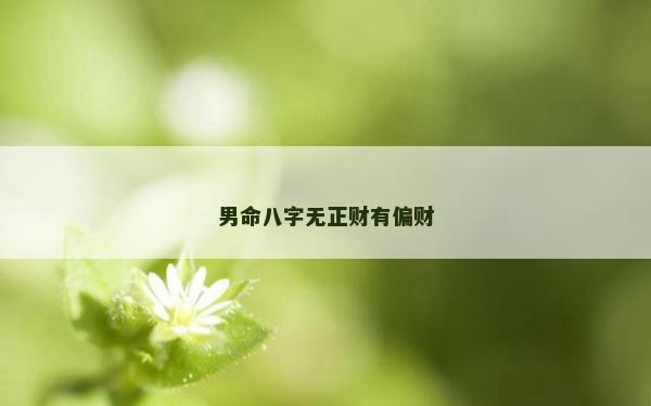 男命八字无正财有偏财