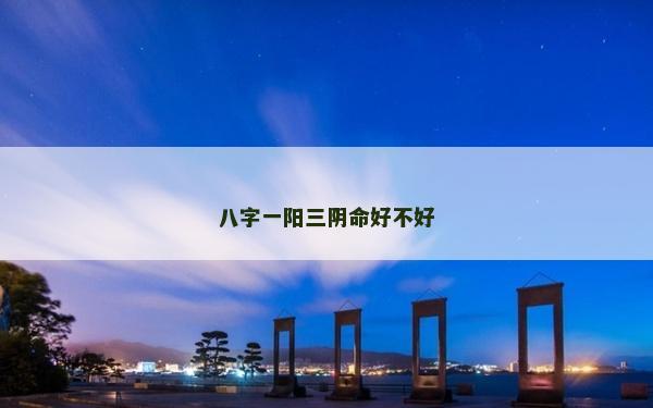 八字一阳三阴命好不好