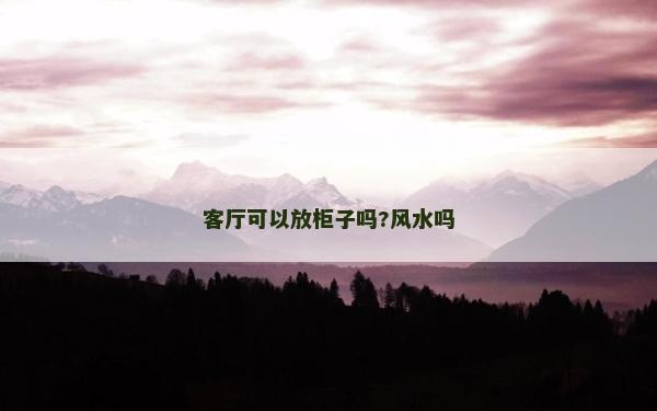 客厅可以放柜子吗?风水吗
