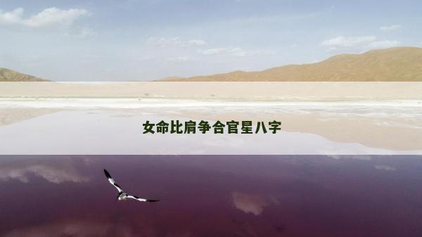 女命比肩争合官星八字