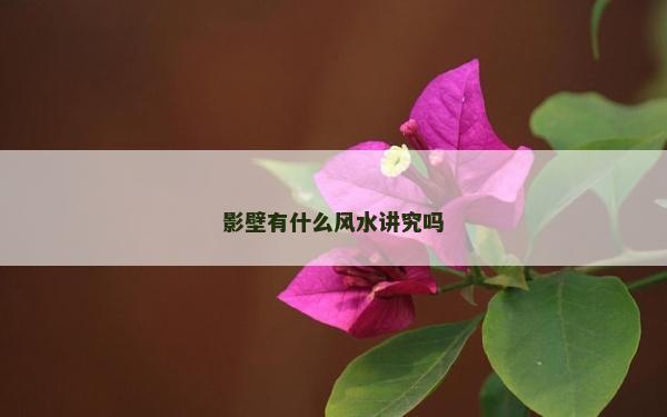 影壁有什么风水讲究吗