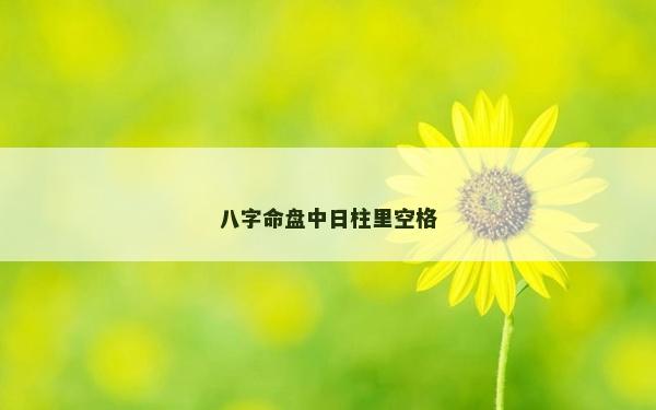 八字命盘中日柱里空格