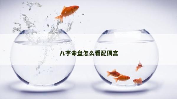 八字命盘怎么看配偶宫