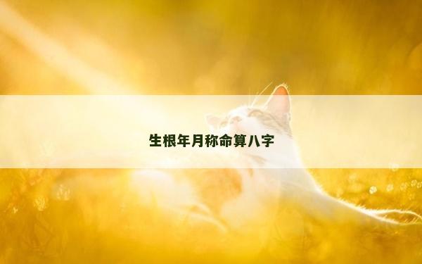 生根年月称命算八字