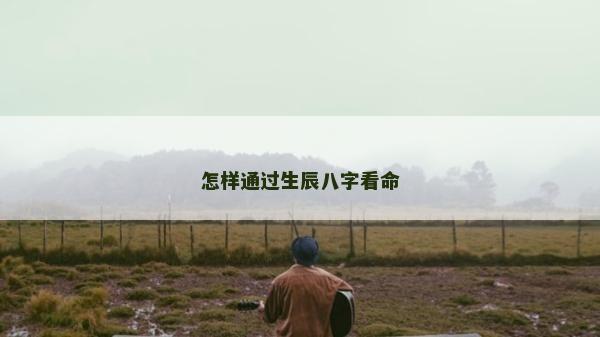 怎样通过生辰八字看命