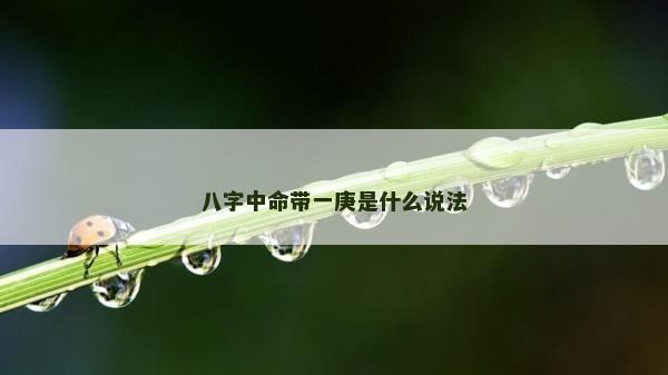 八字中命带一庚是什么说法