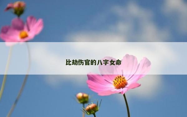 比劫伤官的八字女命
