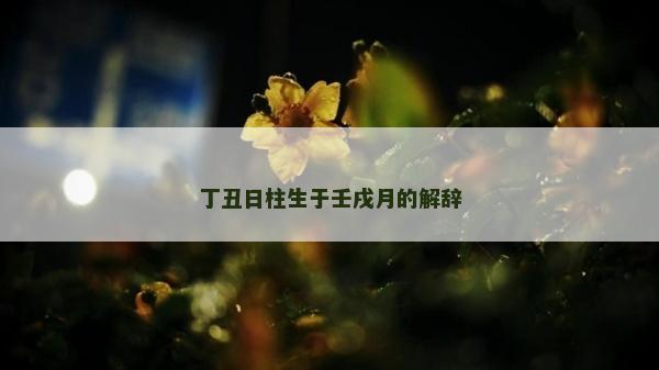 丁丑日柱生于壬戌月的解辞
