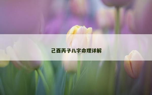 己酉丙子八字命理详解