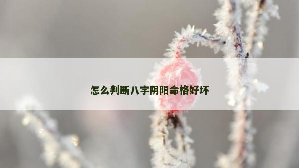 怎么判断八字阴阳命格好坏