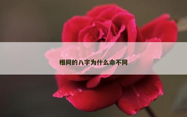 相同的八字为什么命不同