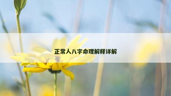 正常人八字命理解释详解