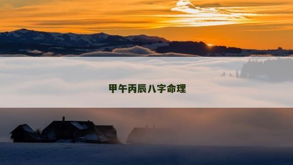 甲午丙辰八字命理