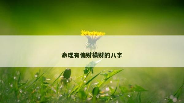命理有偏财横财的八字