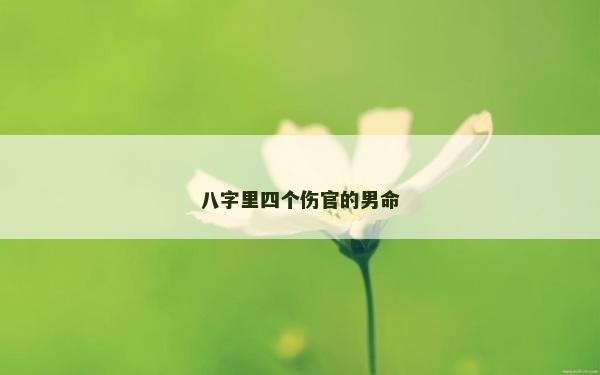 八字里四个伤官的男命
