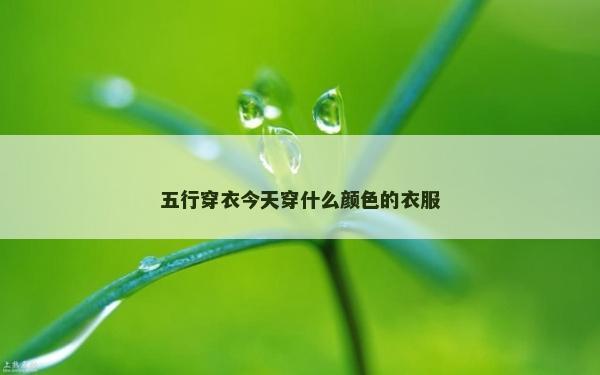 五行穿衣今天穿什么颜色的衣服