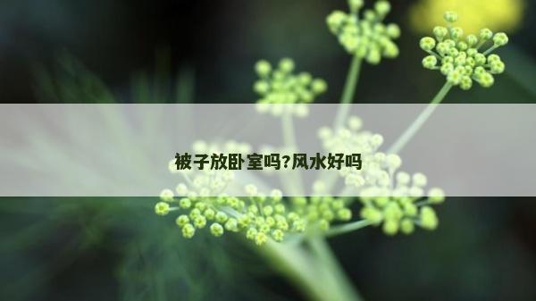 被子放卧室吗?风水好吗