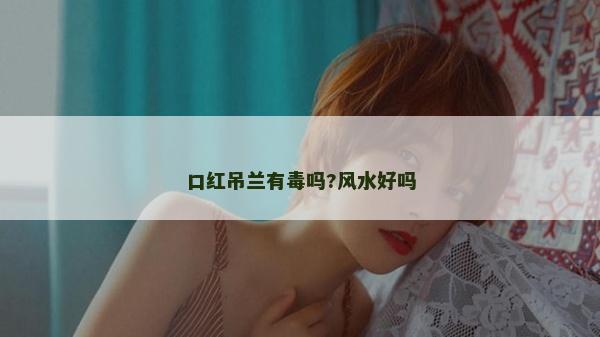 口红吊兰有毒吗?风水好吗