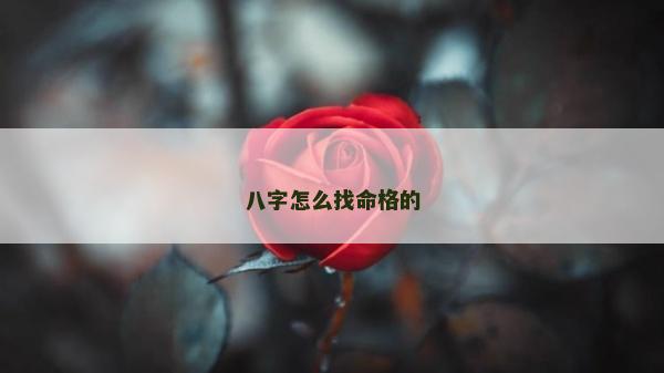 八字怎么找命格的