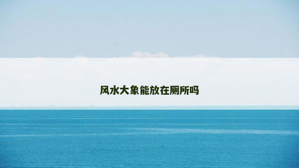 风水大象能放在厕所吗