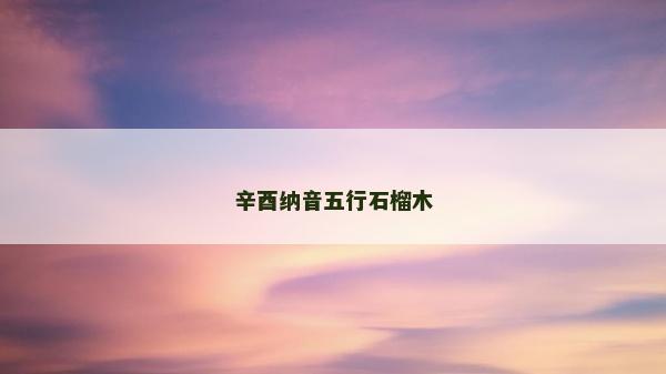 辛酉纳音五行石榴木