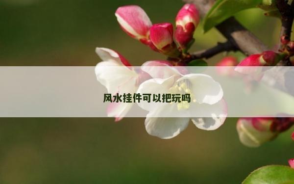 风水挂件可以把玩吗