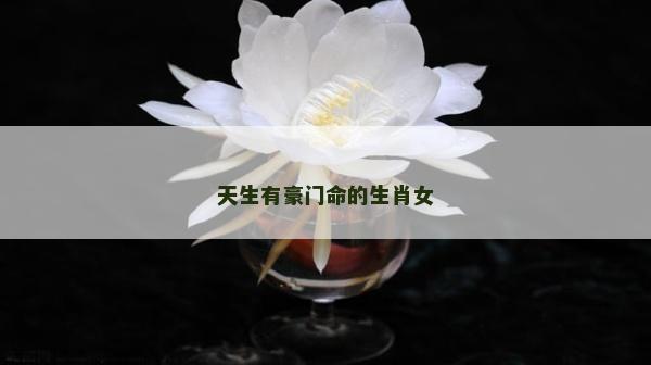 天生有豪门命的生肖女