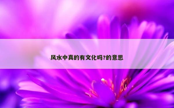 风水中真的有文化吗?的意思