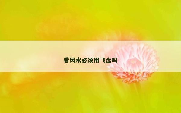 看风水必须用飞盘吗
