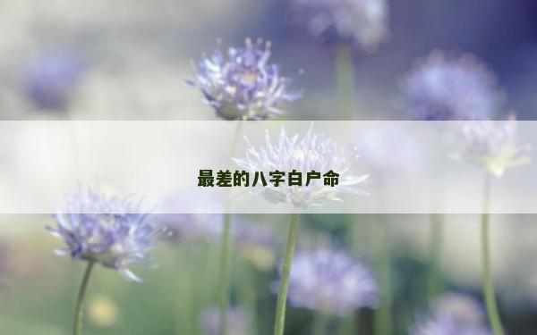 最差的八字白户命