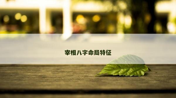 宰相八字命局特征