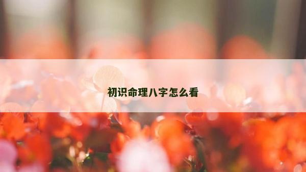 初识命理八字怎么看