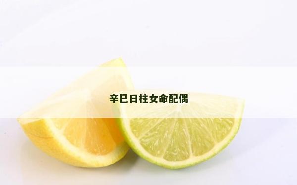 辛巳日柱女命配偶