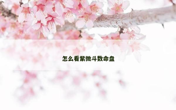 怎么看紫微斗数命盘