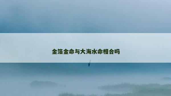 金箔金命与大海水命相合吗