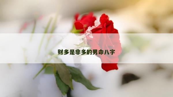 财多是非多的男命八字