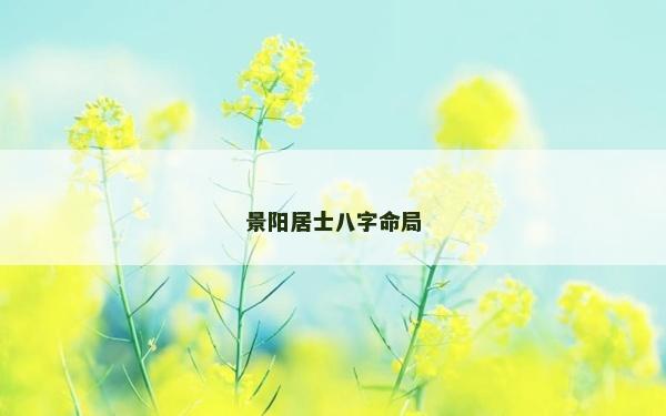 景阳居士八字命局