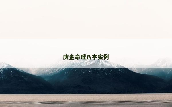 庚金命理八字实例