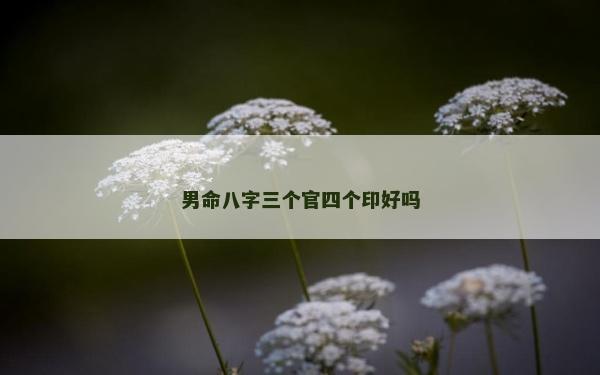 男命八字三个官四个印好吗