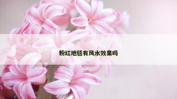 粉红地毯有风水效果吗