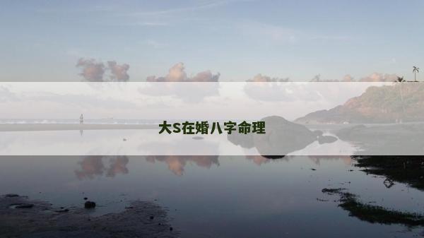 大S在婚八字命理