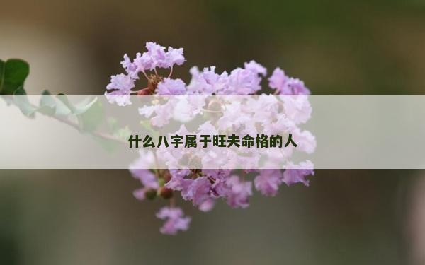 什么八字属于旺夫命格的人