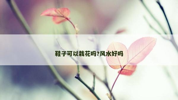 鞋子可以栽花吗?风水好吗
