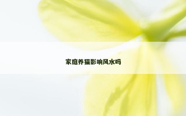 家庭养猫影响风水吗