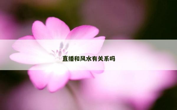 直播和风水有关系吗
