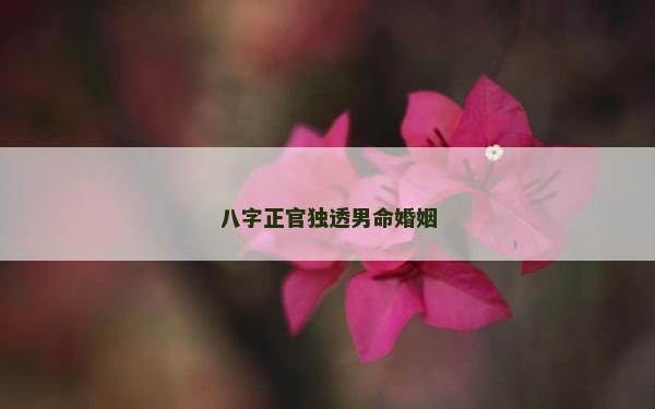 八字正官独透男命婚姻