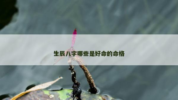 生辰八字哪些是好命的命格