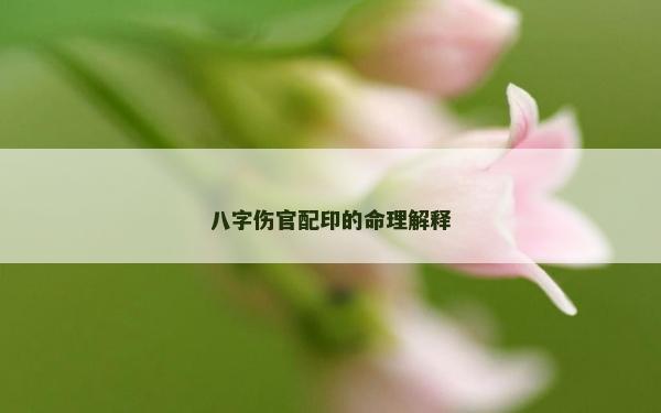 八字伤官配印的命理解释