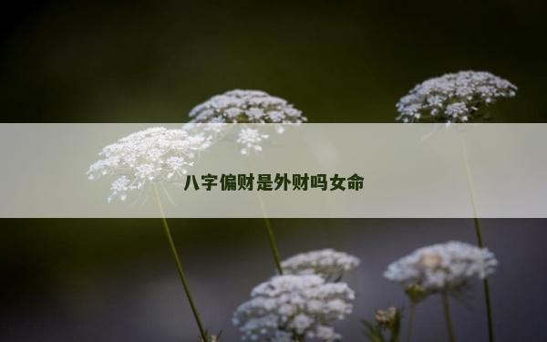 八字偏财是外财吗女命