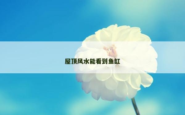 屋顶风水能看到鱼缸